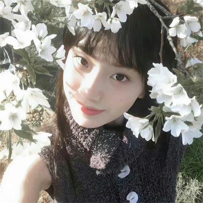 狮子护卫队第一季